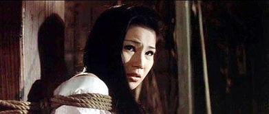 供品夫人,揭开神秘面纱的传奇故事  第3张