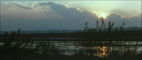 女番长布鲁斯：雌蜂的挑战  第3张