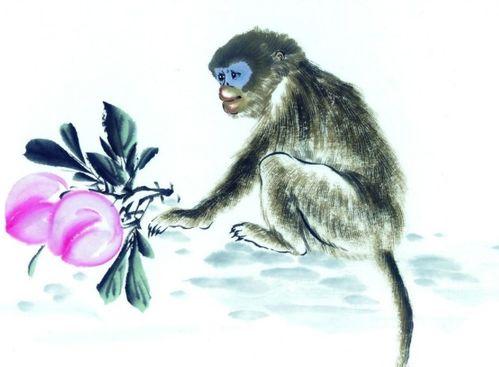 十二猴子,十二猴子的科幻之旅