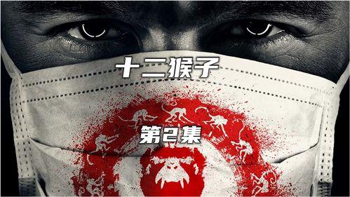 十二猴子,十二猴子的科幻之旅  第3张