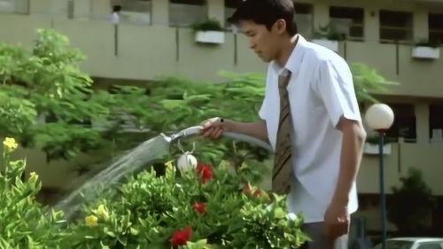 家道中二,逆境中的奋斗与重生  第2张