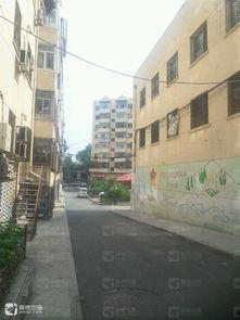 达道里,哈尔滨繁华商圈的璀璨明珠 第3张 达道里,哈尔滨繁华商圈的璀璨明珠 第3张