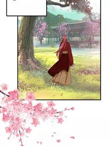 晚晚迟来倾君心,一段跨越时光的深情邂逅  第3张