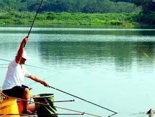 封竿三年，归来仍是钓神,传奇钓手的逆袭之路  第3张