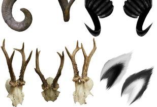 恶魔的尾巴,揭秘神秘力量的秘密起源  第2张