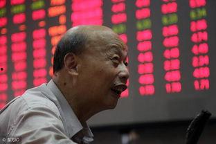 大多头之股民的名义,多头股民如何引领市场风潮