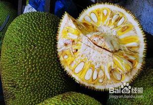 菠萝蜜,热带果王背后的传奇与魅力